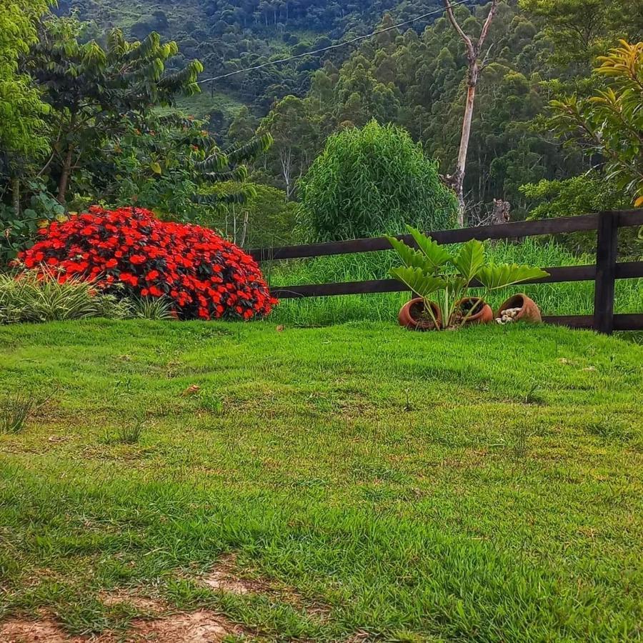 Chale Araucaria- Vale Das Pedras Mg Sapucai-Mirim Exterior photo