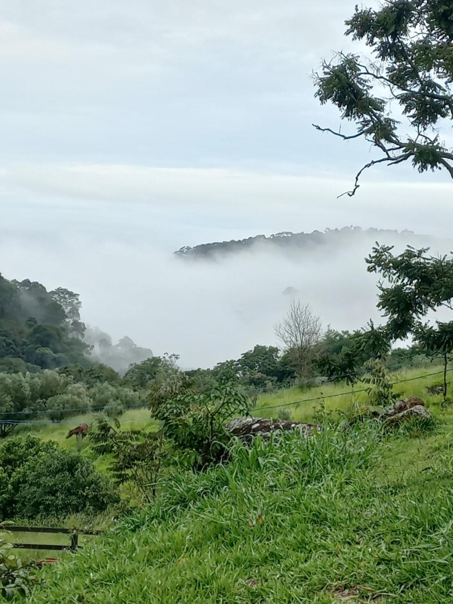 Chale Araucaria- Vale Das Pedras Mg Sapucai-Mirim Exterior photo